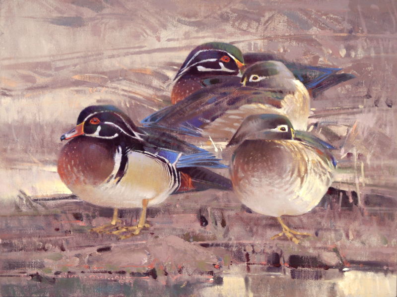 Resting Wood Ducks, 12"x16", Oil on Linen